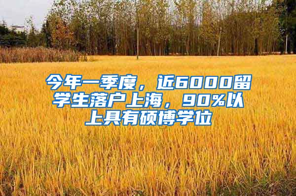 今年一季度，近6000留学生落户上海，90%以上具有硕博学位