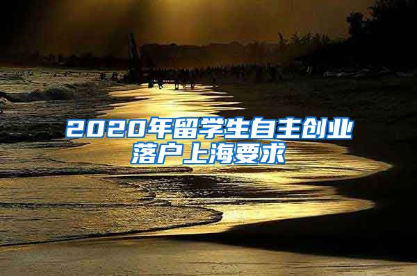 2020年留学生自主创业落户上海要求