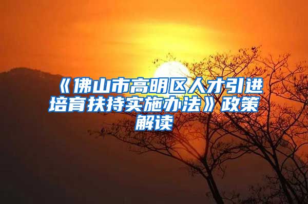 《佛山市高明区人才引进培育扶持实施办法》政策解读