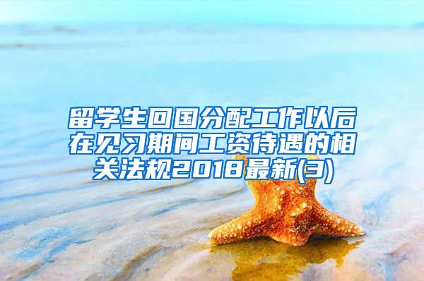 留学生回国分配工作以后在见习期间工资待遇的相关法规2018最新(3)