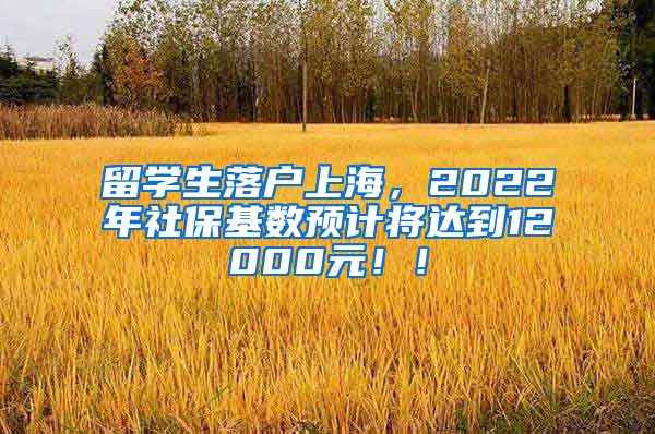 留学生落户上海，2022年社保基数预计将达到12000元！！