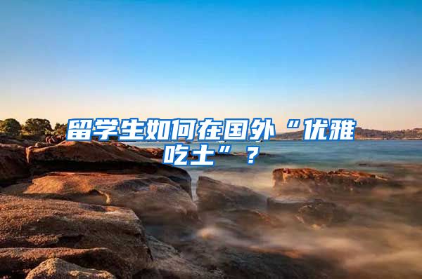 留学生如何在国外“优雅吃土”？