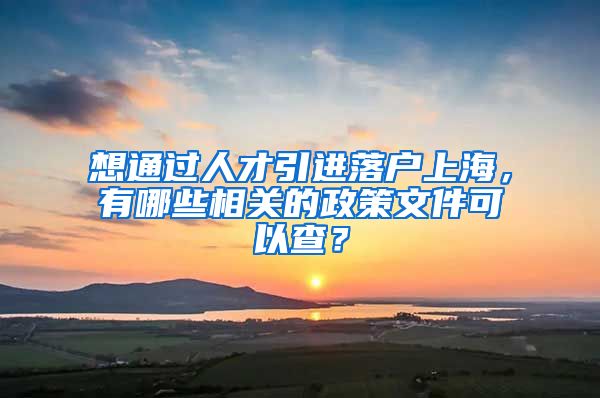 想通过人才引进落户上海，有哪些相关的政策文件可以查？