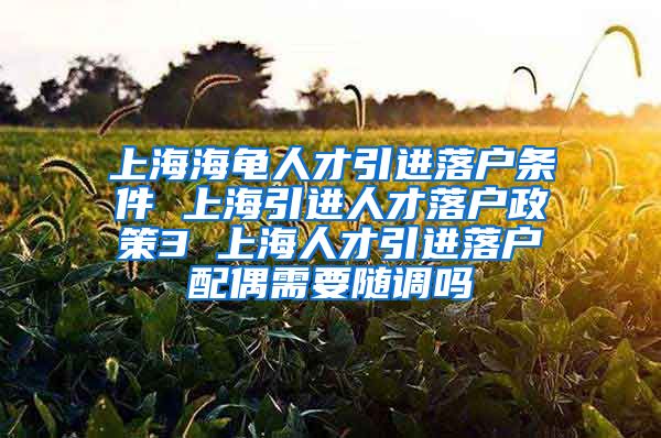 上海海龟人才引进落户条件 上海引进人才落户政策3 上海人才引进落户配偶需要随调吗