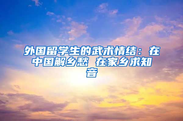 外国留学生的武术情结：在中国解乡愁 在家乡求知音