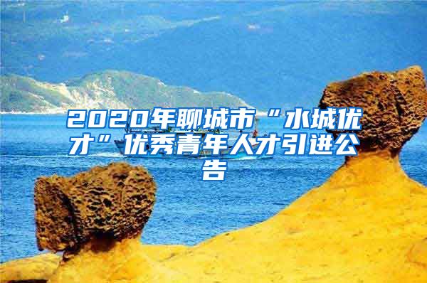 2020年聊城市“水城优才”优秀青年人才引进公告