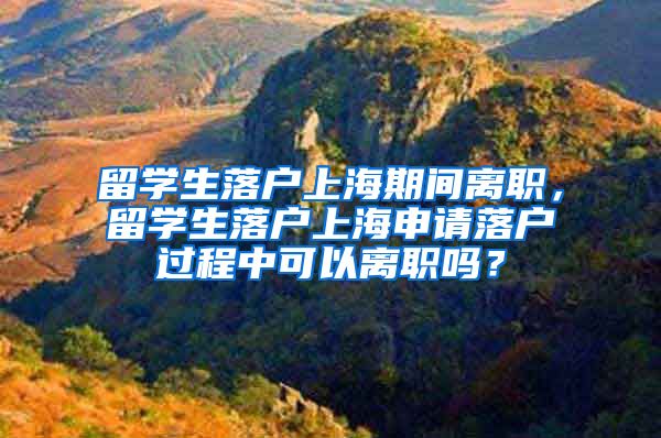 留学生落户上海期间离职，留学生落户上海申请落户过程中可以离职吗？