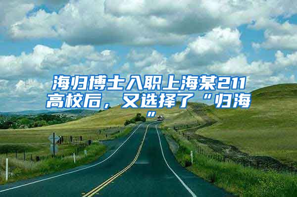 海归博士入职上海某211高校后，又选择了“归海”