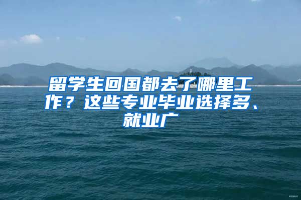 留学生回国都去了哪里工作？这些专业毕业选择多、就业广