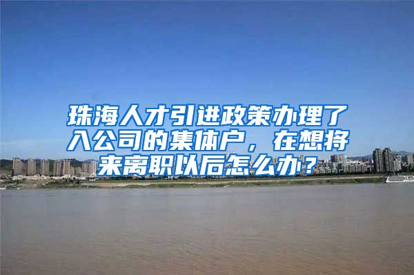 珠海人才引进政策办理了入公司的集体户，在想将来离职以后怎么办？