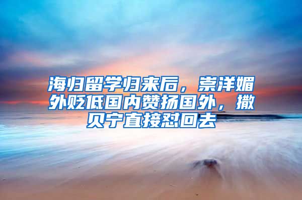 海归留学归来后，崇洋媚外贬低国内赞扬国外，撒贝宁直接怼回去