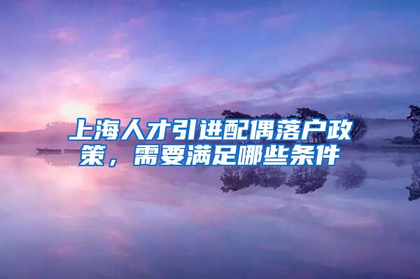 上海人才引进配偶落户政策，需要满足哪些条件