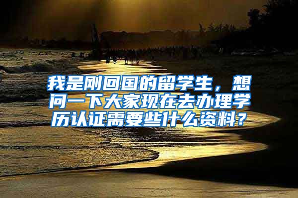 我是刚回国的留学生，想问一下大家现在去办理学历认证需要些什么资料？