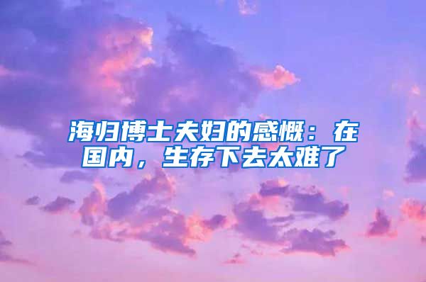 海归博士夫妇的感慨：在国内，生存下去太难了