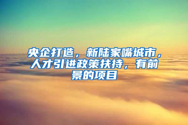 央企打造，新陆家嘴城市，人才引进政策扶持，有前景的项目