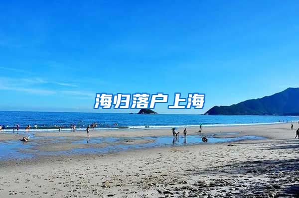 海归落户上海