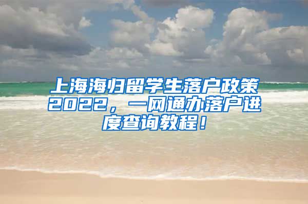 上海海归留学生落户政策2022，一网通办落户进度查询教程！