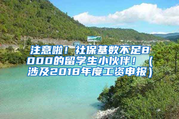 注意啦！社保基数不足8000的留学生小伙伴！（涉及2018年度工资申报）