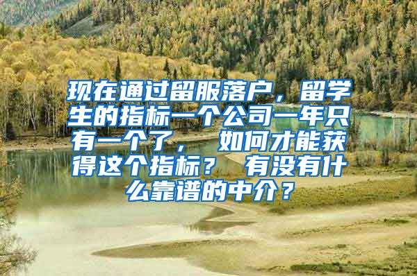 现在通过留服落户，留学生的指标一个公司一年只有一个了， 如何才能获得这个指标？ 有没有什么靠谱的中介？