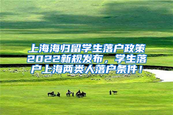 上海海归留学生落户政策2022新规发布，学生落户上海两类人落户条件！