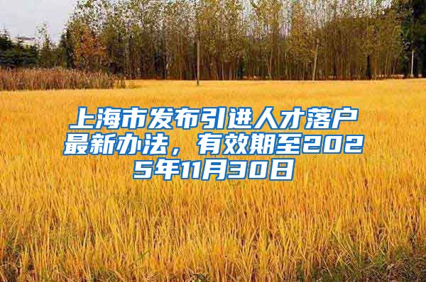 上海市发布引进人才落户最新办法，有效期至2025年11月30日