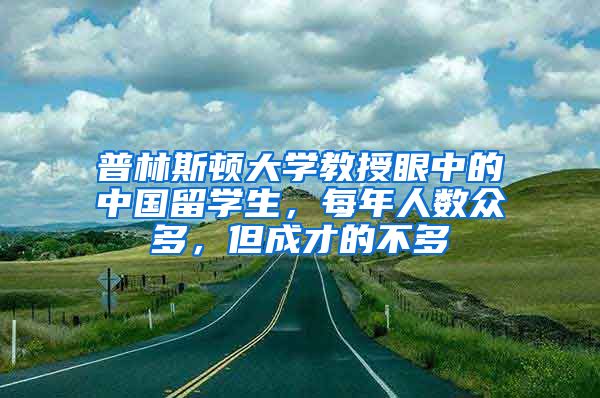 普林斯顿大学教授眼中的中国留学生，每年人数众多，但成才的不多