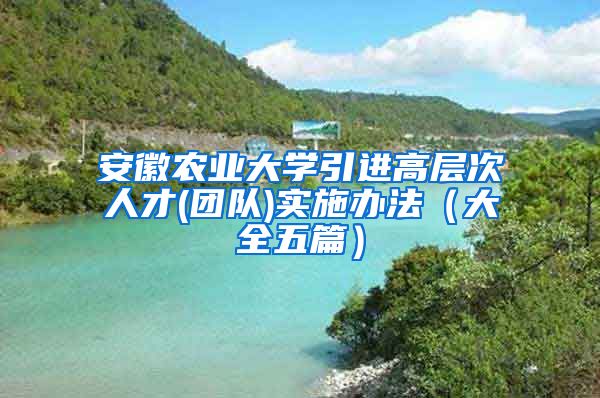 安徽农业大学引进高层次人才(团队)实施办法（大全五篇）