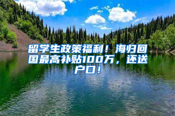 留学生政策福利！海归回国最高补贴100万，还送户口！