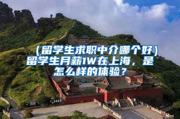 （留学生求职中介哪个好）留学生月薪1W在上海，是怎么样的体验？