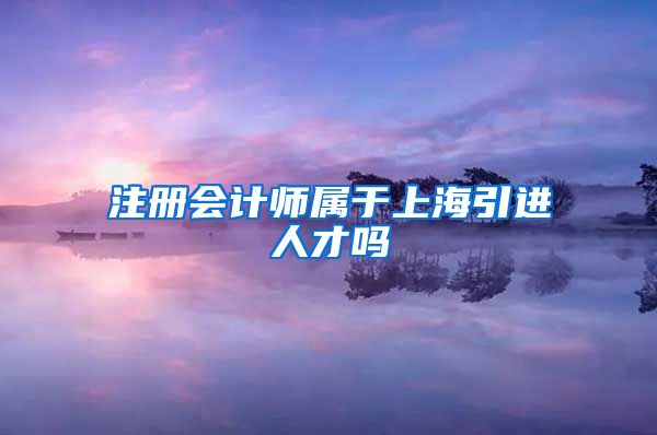 注册会计师属于上海引进人才吗