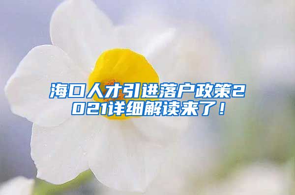 海口人才引进落户政策2021详细解读来了！