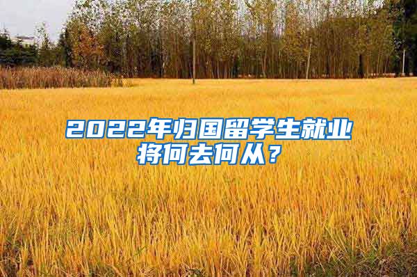 2022年归国留学生就业将何去何从？