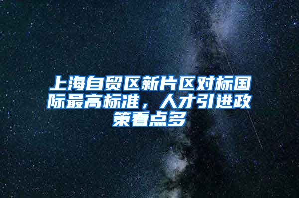 上海自贸区新片区对标国际最高标准，人才引进政策看点多