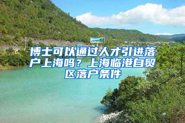 博士可以通过人才引进落户上海吗？上海临港自贸区落户条件