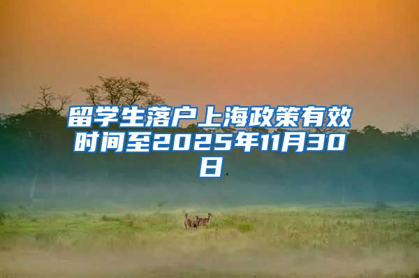 留学生落户上海政策有效时间至2025年11月30日