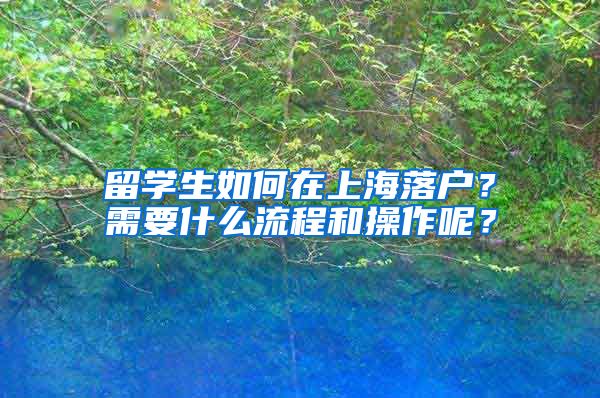 留学生如何在上海落户？需要什么流程和操作呢？