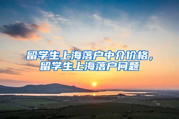 留学生上海落户中介价格，留学生上海落户问题