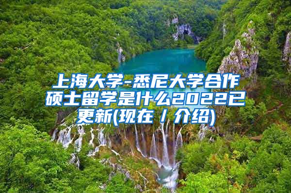 上海大学-悉尼大学合作硕士留学是什么2022已更新(现在／介绍)