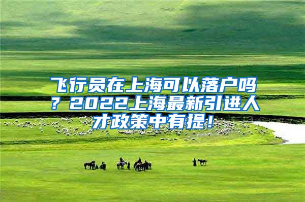 飞行员在上海可以落户吗？2022上海最新引进人才政策中有提！