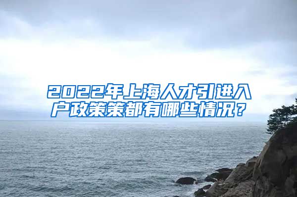 2022年上海人才引进入户政策策都有哪些情况？