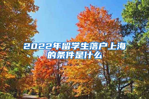 2022年留学生落户上海的条件是什么