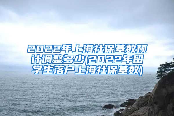 2022年上海社保基数预计调整多少(2022年留学生落户上海社保基数)