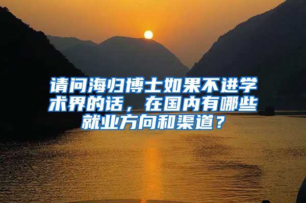 请问海归博士如果不进学术界的话，在国内有哪些就业方向和渠道？