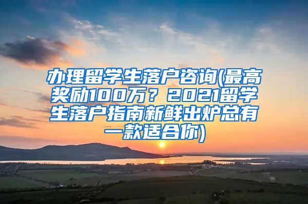 办理留学生落户咨询(最高奖励100万？2021留学生落户指南新鲜出炉总有一款适合你)