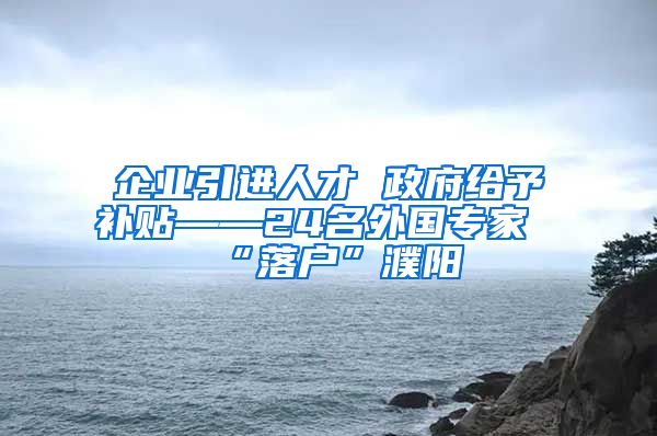 企业引进人才 政府给予补贴——24名外国专家“落户”濮阳