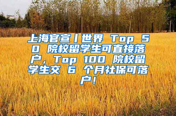 上海官宣丨世界 Top 50 院校留学生可直接落户，Top 100 院校留学生交 6 个月社保可落户！