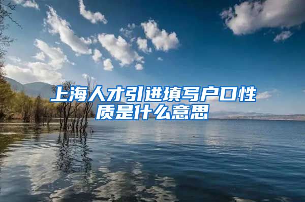 上海人才引进填写户口性质是什么意思