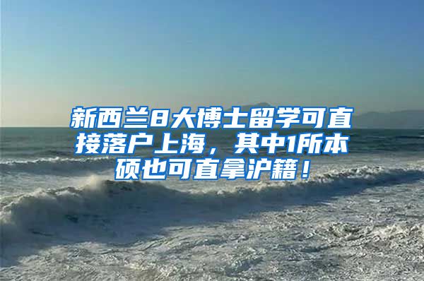 新西兰8大博士留学可直接落户上海，其中1所本硕也可直拿沪籍！