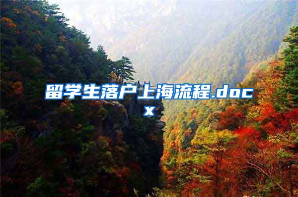 留学生落户上海流程.docx