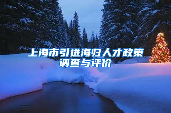 上海市引进海归人才政策调查与评价